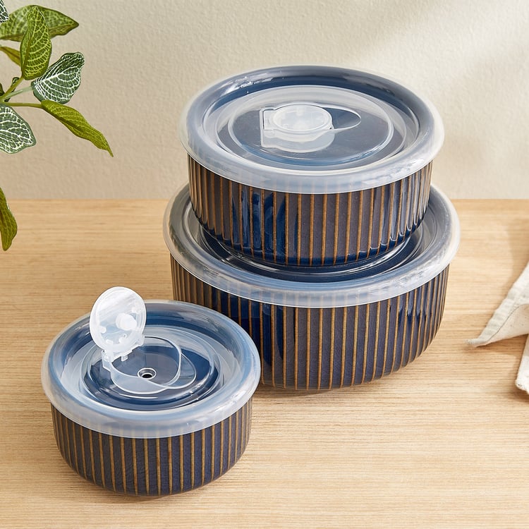 Triped Ceramic Bowl Set with Ventilated Covers